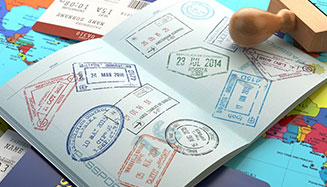 Visa Documentation Processing